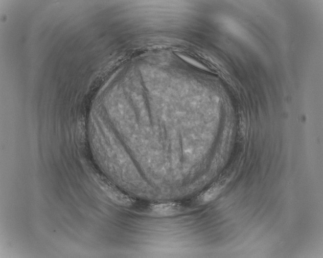 X0000070360461200607072107