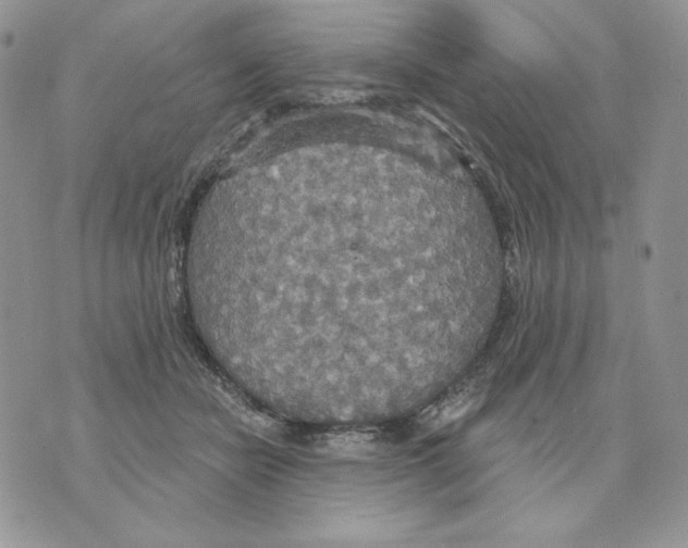 X0000070360462200607072107