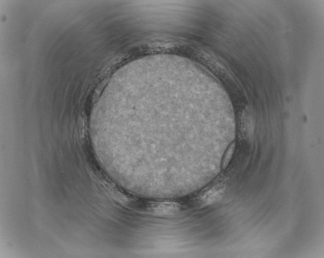 X0000070360463200607072107