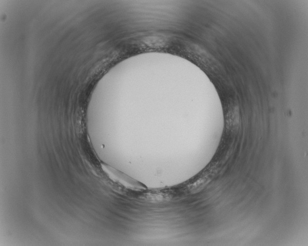 X0000070360464200607072107