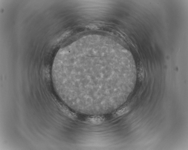 X0000070360466200607072107