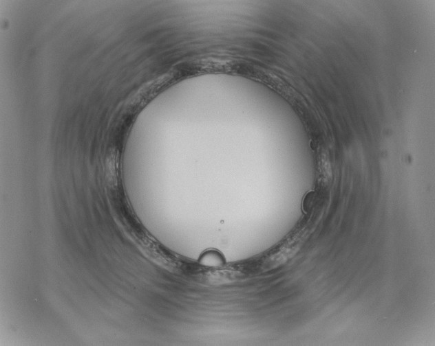 X0000070360468200607072108