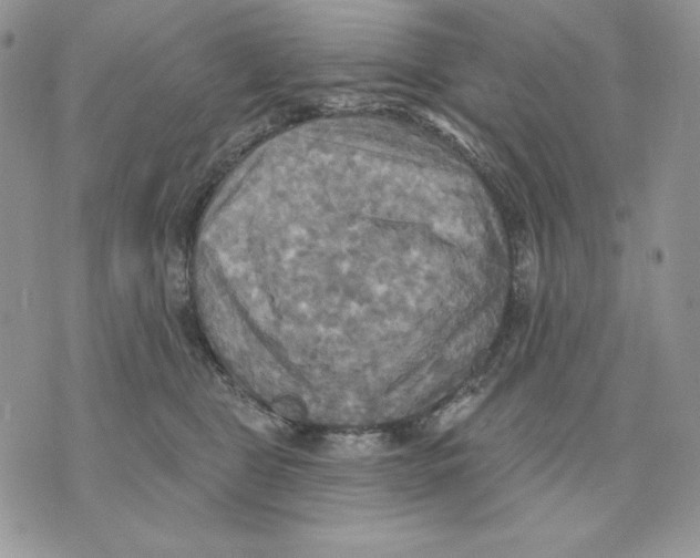 X0000070360469200607072108