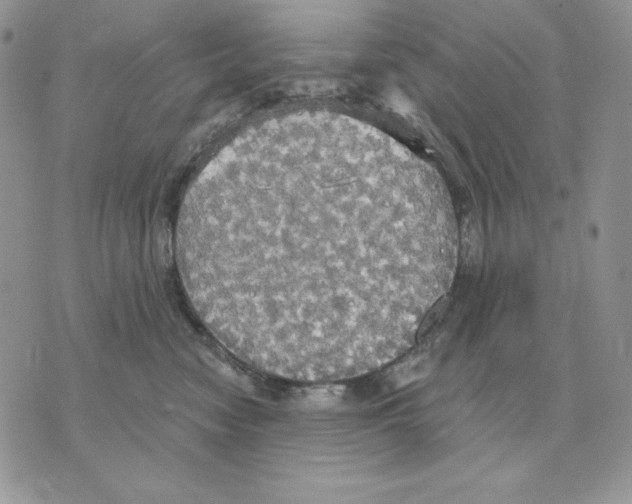 X0000070360474200607072108