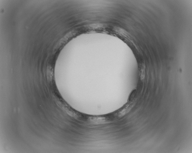 X0000070360476200607072108