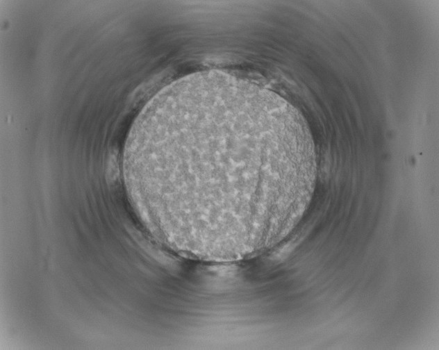 X0000070360478200607072108