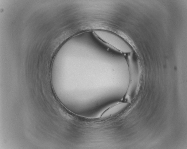 X0000070360481200607072107