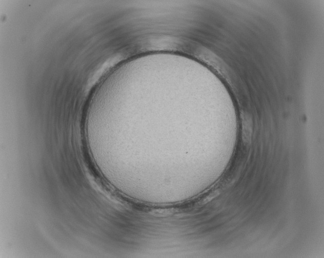 X0000070360482200607072107