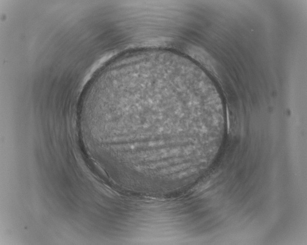 X0000070360483200607072107