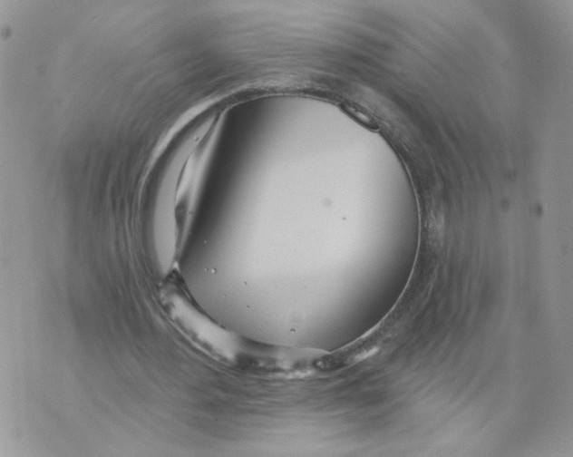 X0000070360484200607072107