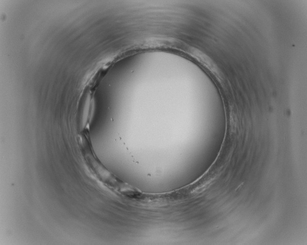 X0000070360485200607072107