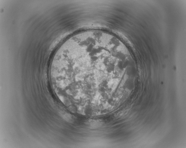 X0000070360487200607072107