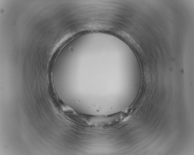 X0000070360488200607072107