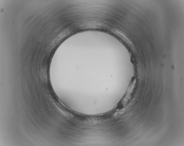 X0000070360489200607072107