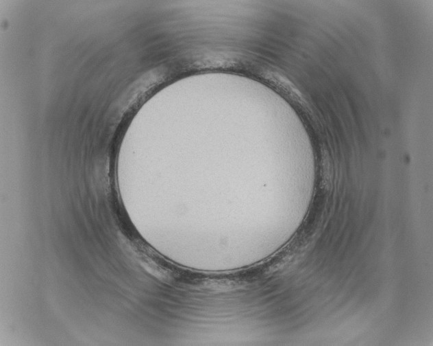 X0000070360490200607072107