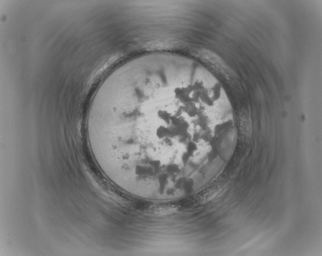 X0000070360491200607072107