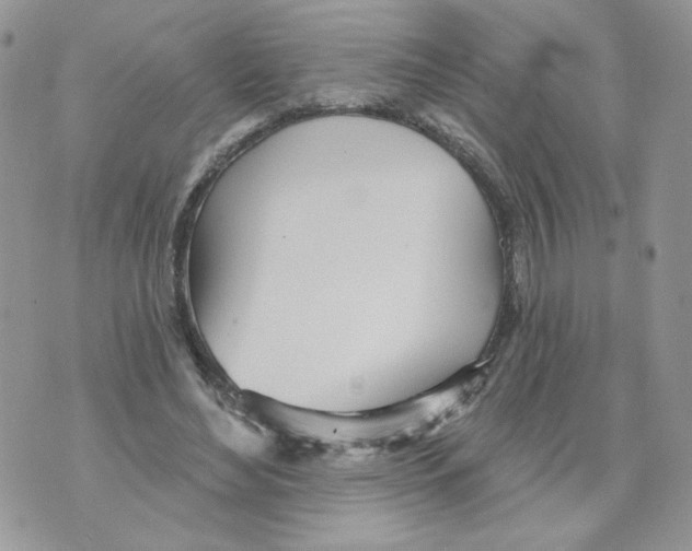 X0000070360492200607072107