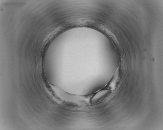 X0000070360493200607072107