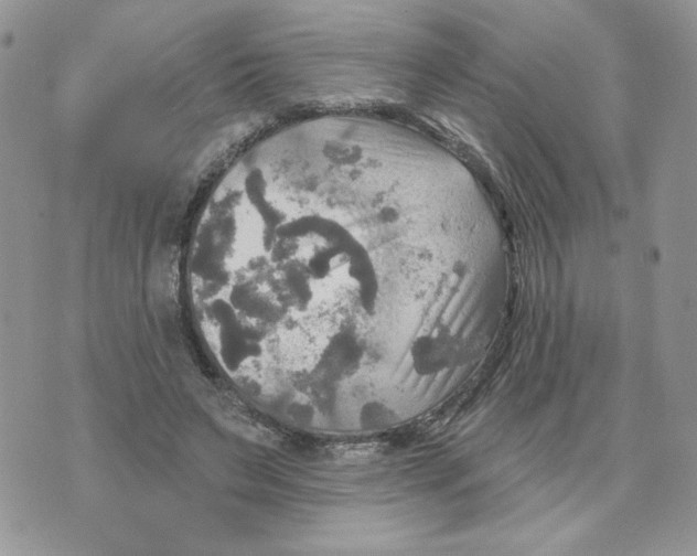 X0000070360495200607072107