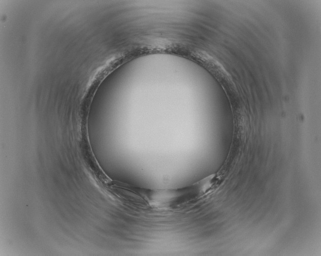 X0000070360496200607072107