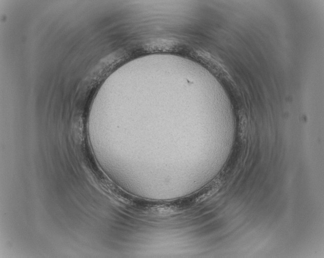 X0000070360498200607072107