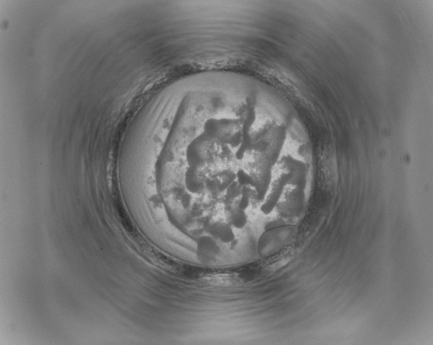 X0000070360499200607072107