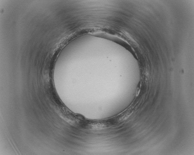 X0000070360500200607072107