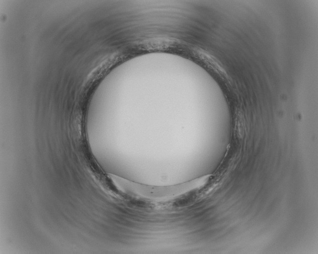 X0000070360501200607072107