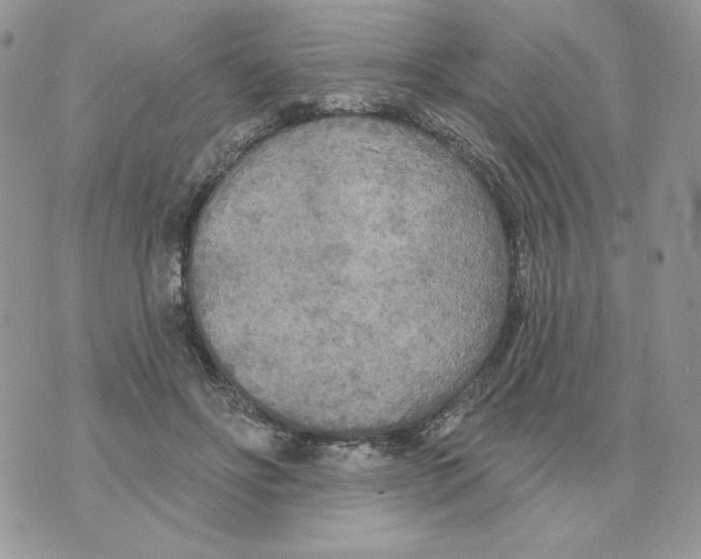 X0000070360502200607072107