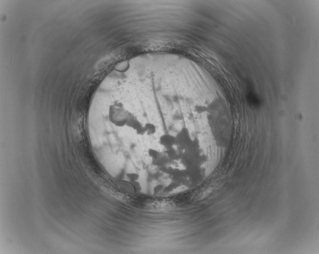 X0000070360503200607072107