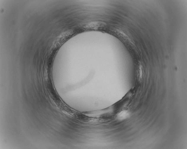 X0000070360504200607072107