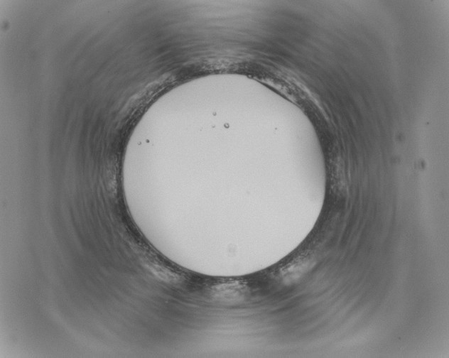 X0000070360505200607072107