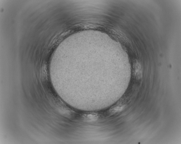 X0000070360506200607072107