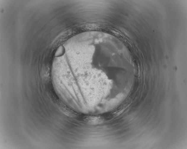 X0000070360507200607072107