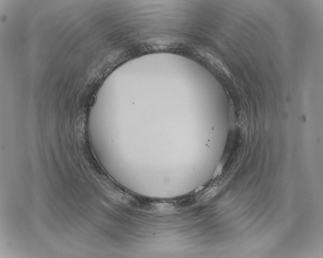 X0000070360509200607072106