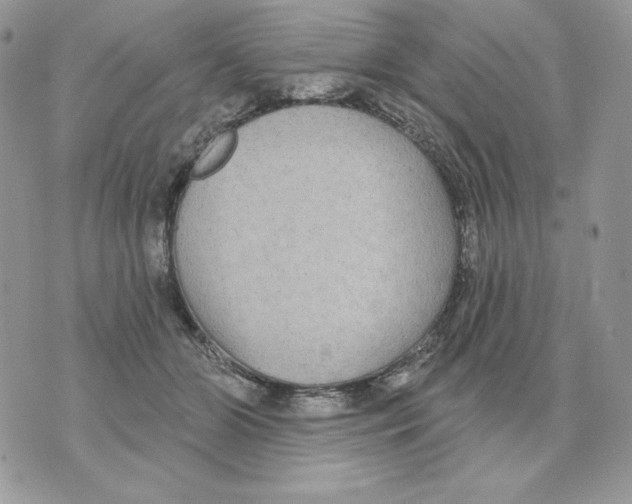 X0000070360510200607072106