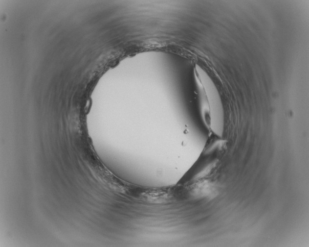 X0000070360512200607072106