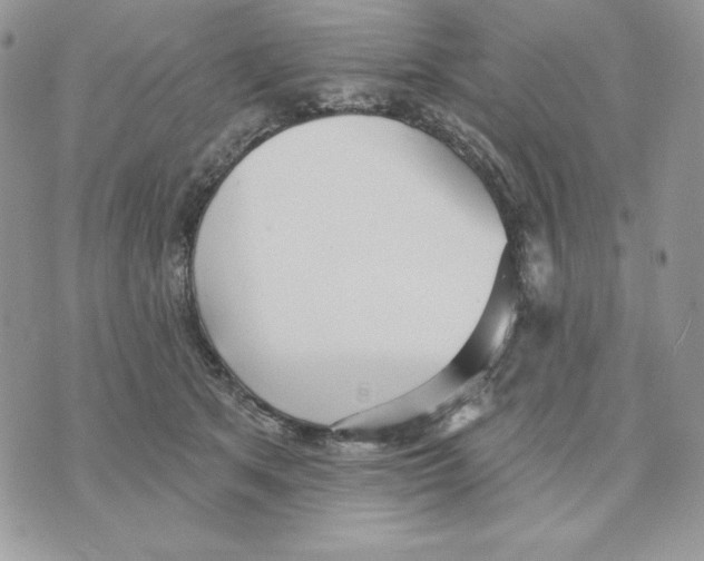 X0000070360513200607072106