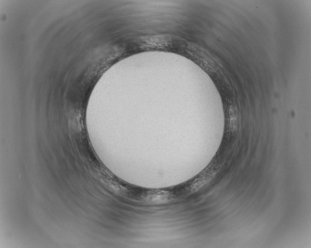 X0000070360514200607072106