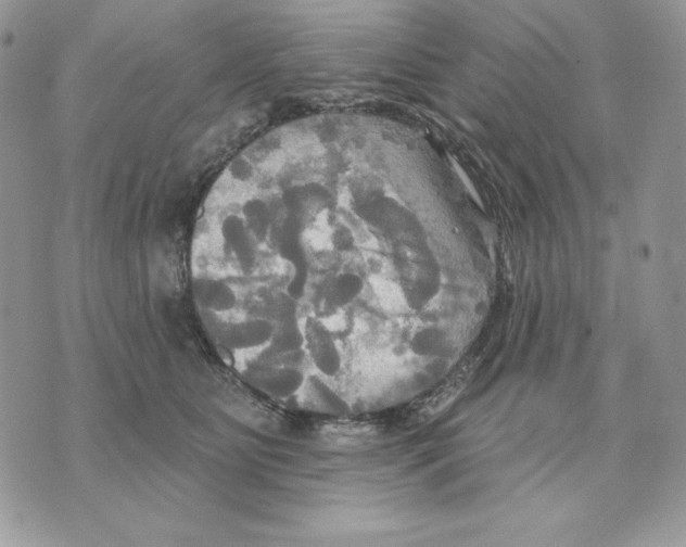 X0000070360515200607072106