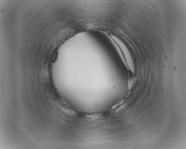 X0000070360516200607072106