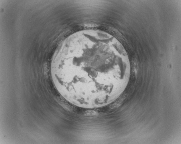 X0000070360519200607072106