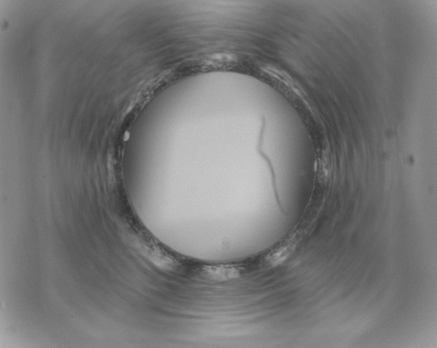 X0000070360520200607072106