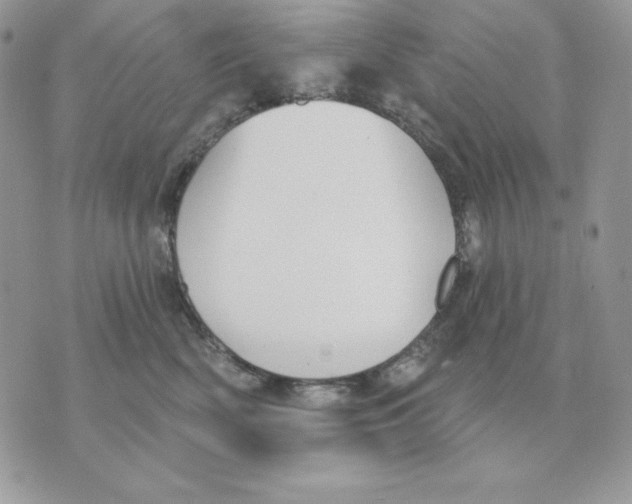 X0000070360522200607072106