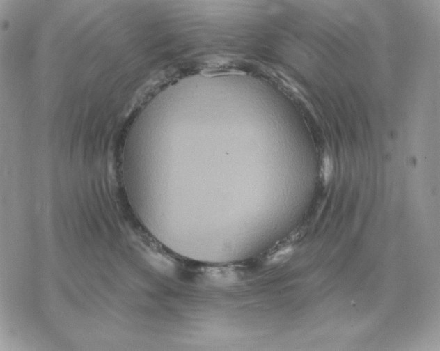 X0000070360524200607072106