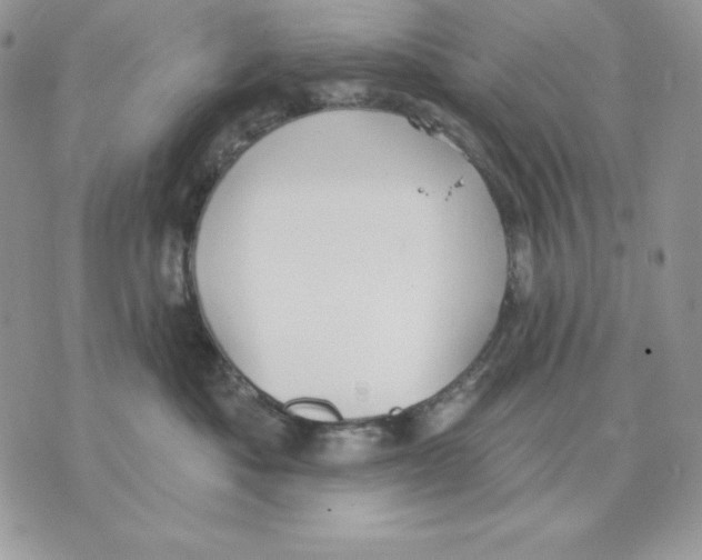 X0000070360525200607072106