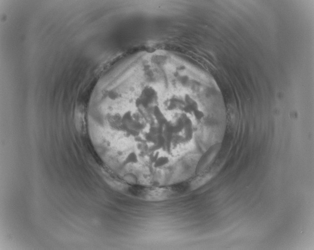 X0000070360527200607072106