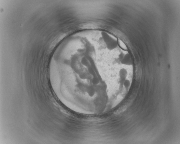 X0000070360529200607072105