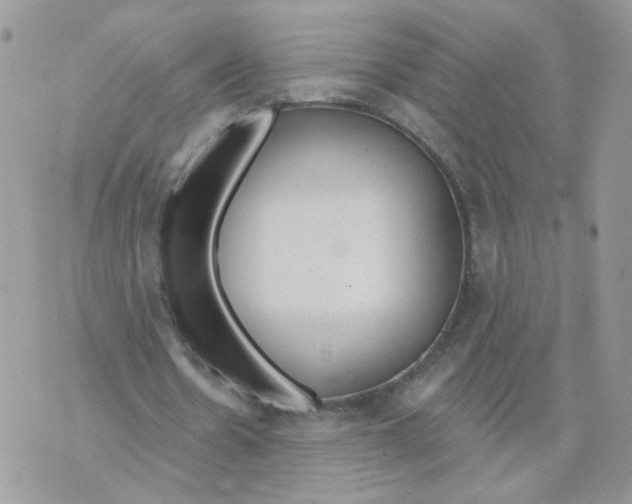 X0000070360530200607072105