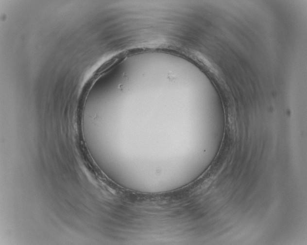 X0000070360532200607072105